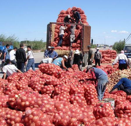 ������족���