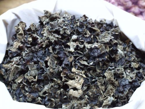 ������ľ��