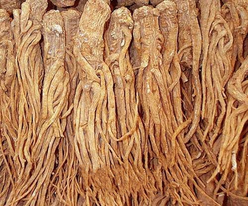 ����ҩ��