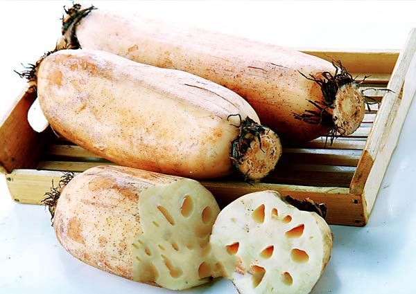 �����˺족��ź