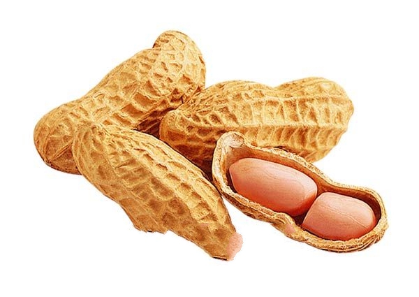 ɳ��С����