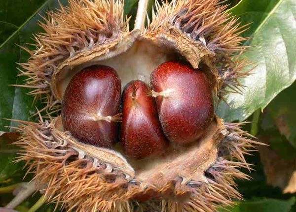 ���ܰ���