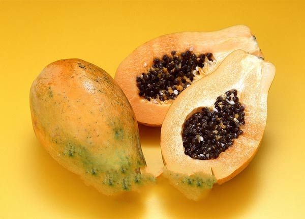 ����ľ��