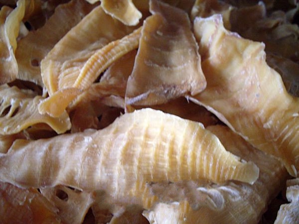 ������β���