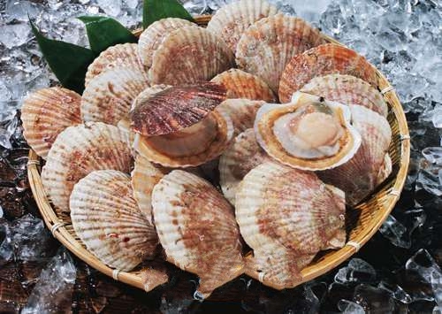 ������ȱ�