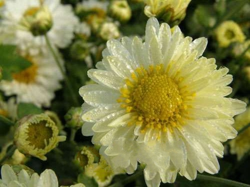 ���ݺ��׾�