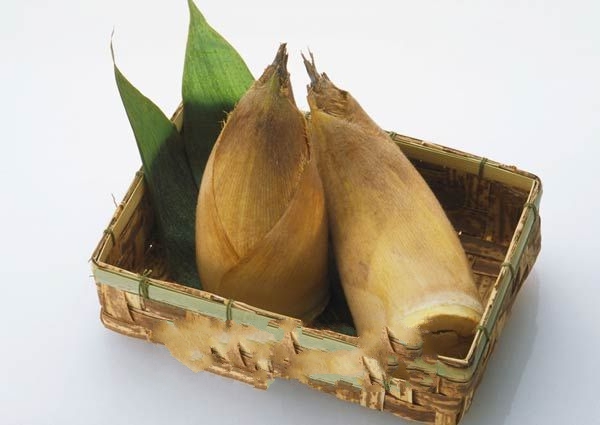 ��Ŀ������