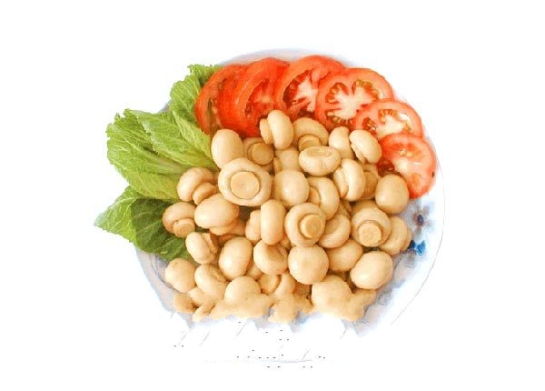 ʳ�þ���Ģ����