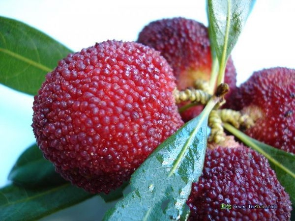 ������÷