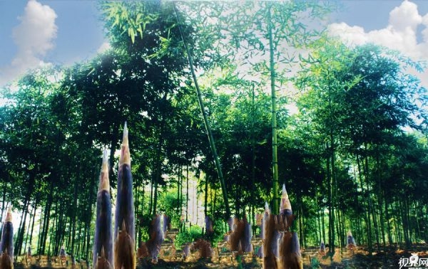 ��Ҧ������