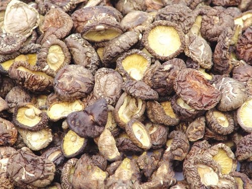 ��һ�ȡ��㹽