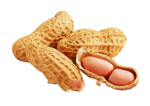 ��ɽС����