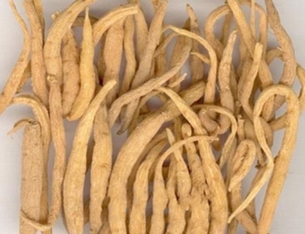 �Ͱ�����