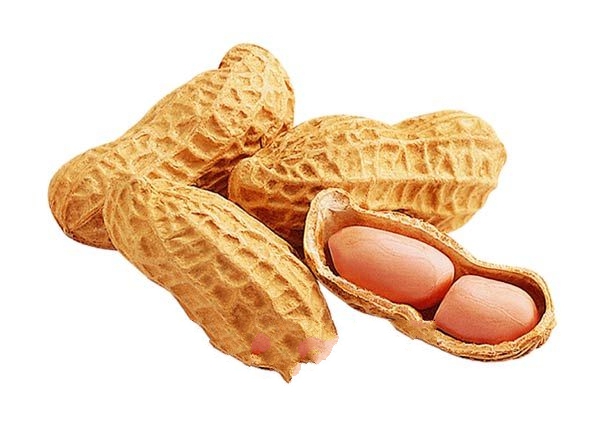 С����ϸ����