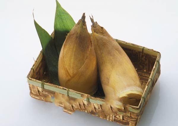 ����Բ��Ƭ