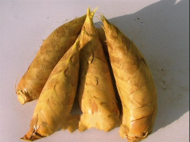 ���ʶ���