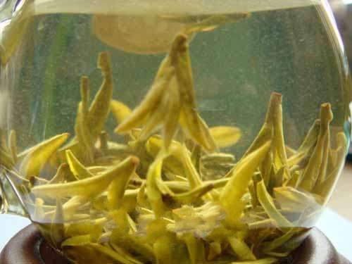 ��˴���Ƽ⡱