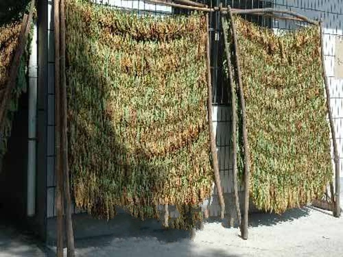 �²�������