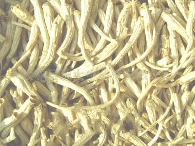 ������۹�