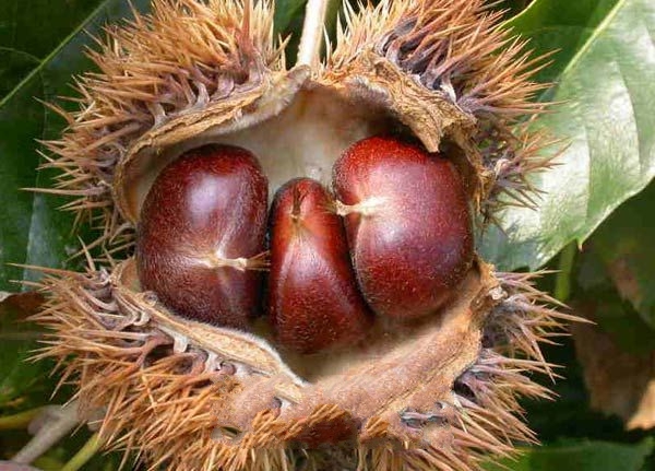 ʩ�������