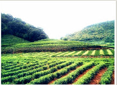 ��Դ��ɽ��̬��ҵ�۹�԰