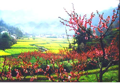 ��ɽ����ϷỨ��ɽ