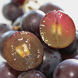 ��ʯ����