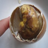 Ӫ������