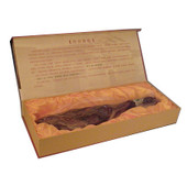 ѩ������