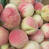 ƽ������