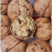 ���ƺ���