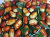 ��¡������