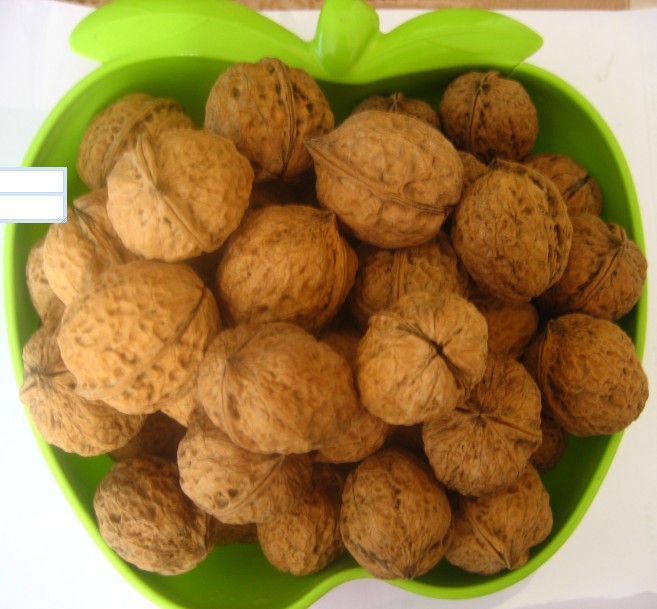 ��Ҧ����