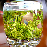 �㽭������