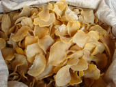 ��Ϫ����