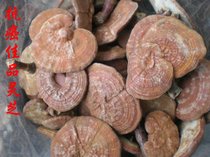 ������֥