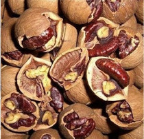 ����ɽ����