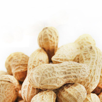 �ջ�����