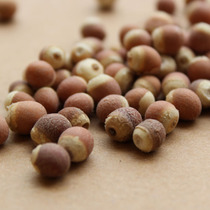 �쳤������ʵ