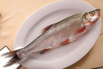 ̫������