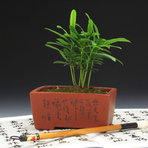 ������ɰ�ջ���