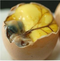 ���ϻ�����