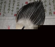 ��ë����