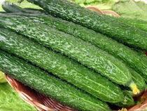 �����ƹ�