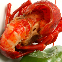 ʮ������Ϻ