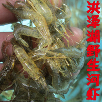 �������Ϻ