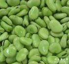 �����϶�