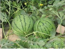 ��̨����