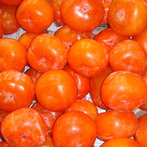 ���Ļ�����