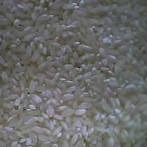 �˻�����